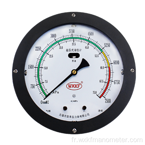 Gauge de niveau liquide combinée à double souffle